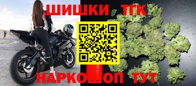 крисы Будённовск