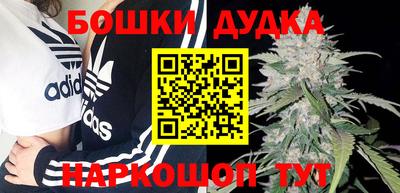 крисы Будённовск